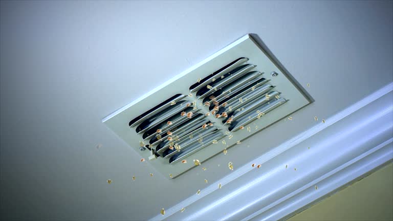 Best Ductwork Cleaning Services  in Lake Elsinore, CA