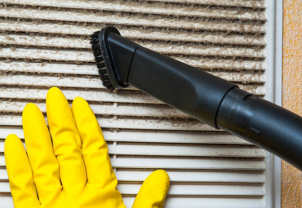 Best Home Air Vent Cleaning  in Lake Elsinore, CA